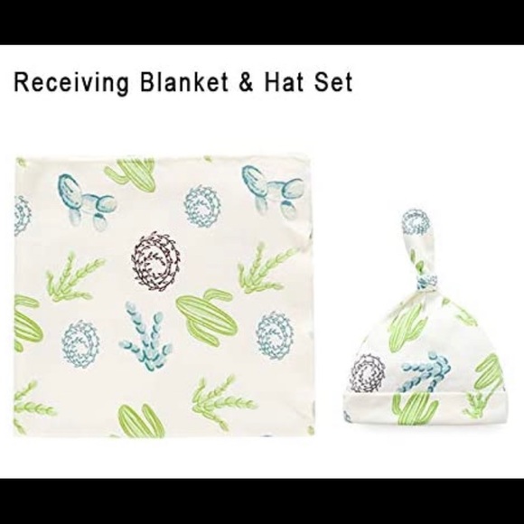 New 4Pc baby cactus bundle - Picture 3 of 3